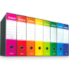 Esselte OXFORD BOX Confezione da 6 Registratori con custodia G85, Mecc