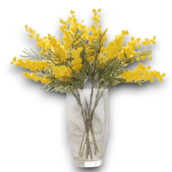 6x Ramo Mimosa 92 cm