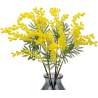 6x Ramo Mimosa 92 cm