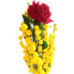 Bouquet Rosa Rossa con Mimosa Gialla 42 cm
