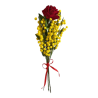 Bouquet Rosa Rossa con Mimosa Gialla 42 cm