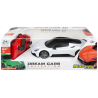 REEL TOYS - Maserati MC20  Telecomandata con Luci - 1:24