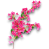Bouganville Fiori Artificiale con 44 Fiori - 105 cm