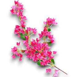 Bouganville Fiori Artificiale con 44 Fiori - 105 cm