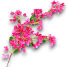 Bouganville Fiori Artificiale con 44 Fiori - 105 cm