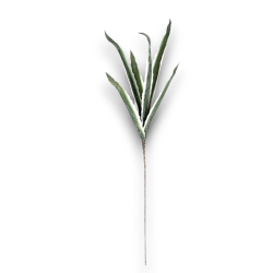 Star - Ramoscello di Ulivio con 6 Foglie - 100 cm