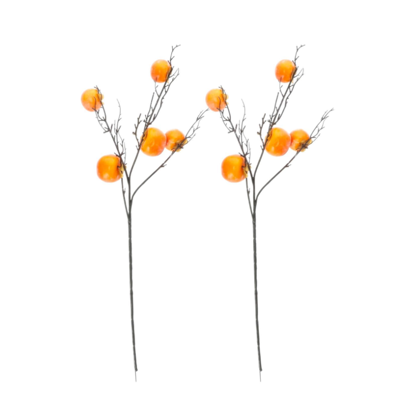 Star - Ramoscello Decorativo con 5 Cachi - 90 cm