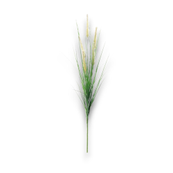 Star - Ramoscello con Pampa - Colore Assortito - H. 76 cm
