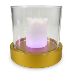 Scatolina Plexiglass con Led - Oro