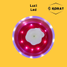 Scatolina Plexiglass con Led - Rosso