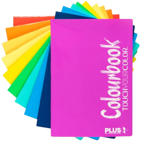 Colourbook -  12 Quadernoni Maxi Plus -  A4 - 4 MM - Fluo - 96 Pagine 