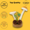 Set 6 Funghi con Base in Legno - 14 cm