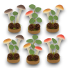 Set 6 Funghi con Base in Legno - 14 cm