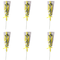 6x Rametti fiori di Mimosa Gialla 8 Marzo Festa della Donna Pianta Fin