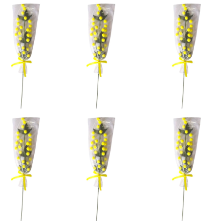 6x Rametti fiori di Mimosa Gialla 8 Marzo Festa della Donna Pianta Fin