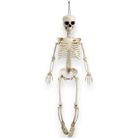 Scheletro Halloween - 100 Cm