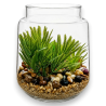 Terrarium con Pianta Grassa Artificiale in Vaso di Vetro – Modello Cas