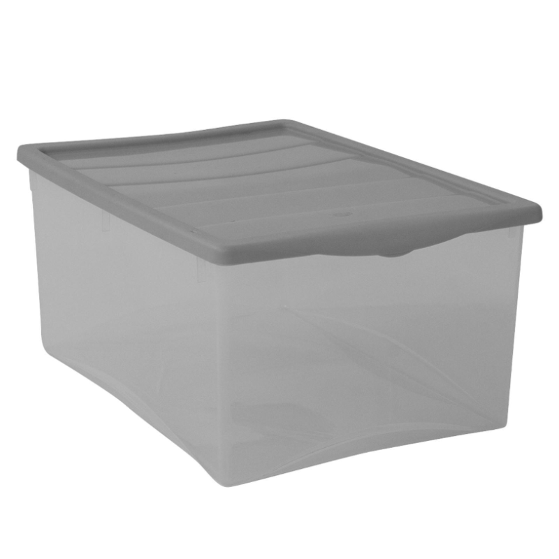 BELLI E FORTI Contenitori in Plastica con Coperchio Box L, Grigio, Ide