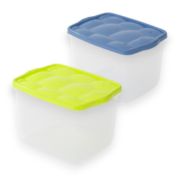 BELLI E FORTI Contenitore Storage Box Tartarugo scatola salvaspazio Bi