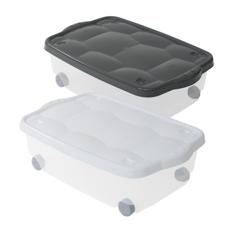 BELLI E FORTI Contenitore Storage Box Tartarugo scatola salvaspazio Bi