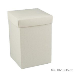 10 Scatole in Cartone con Coperchio Bianco Pieghevole Fai da Te 10x10x