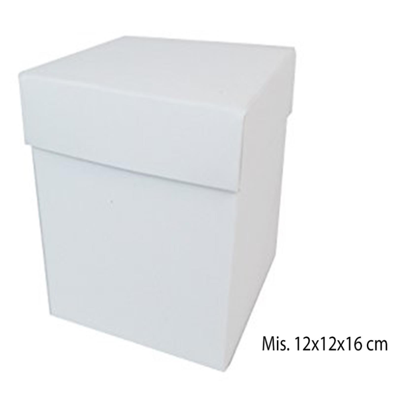  10 Scatole in Cartone con Coperchio Bianco Pieghevole Fai da Te 12x12