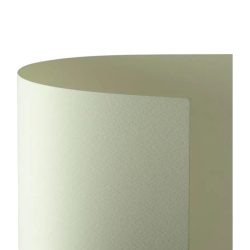 Favini - Conf. 10 Cartoncini Avorio Prisma 220 gr. - 70x100 cm