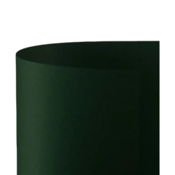 Favini - Conf. 20 Cartoncini Verde Pino Prisma 220 gr. - 50x70 cm